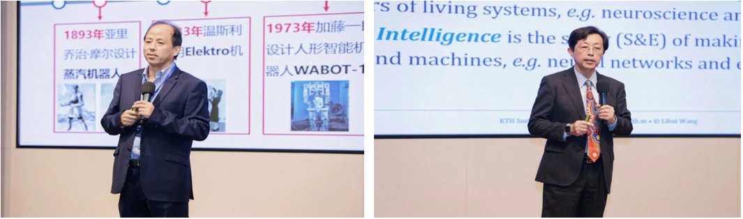 333体育